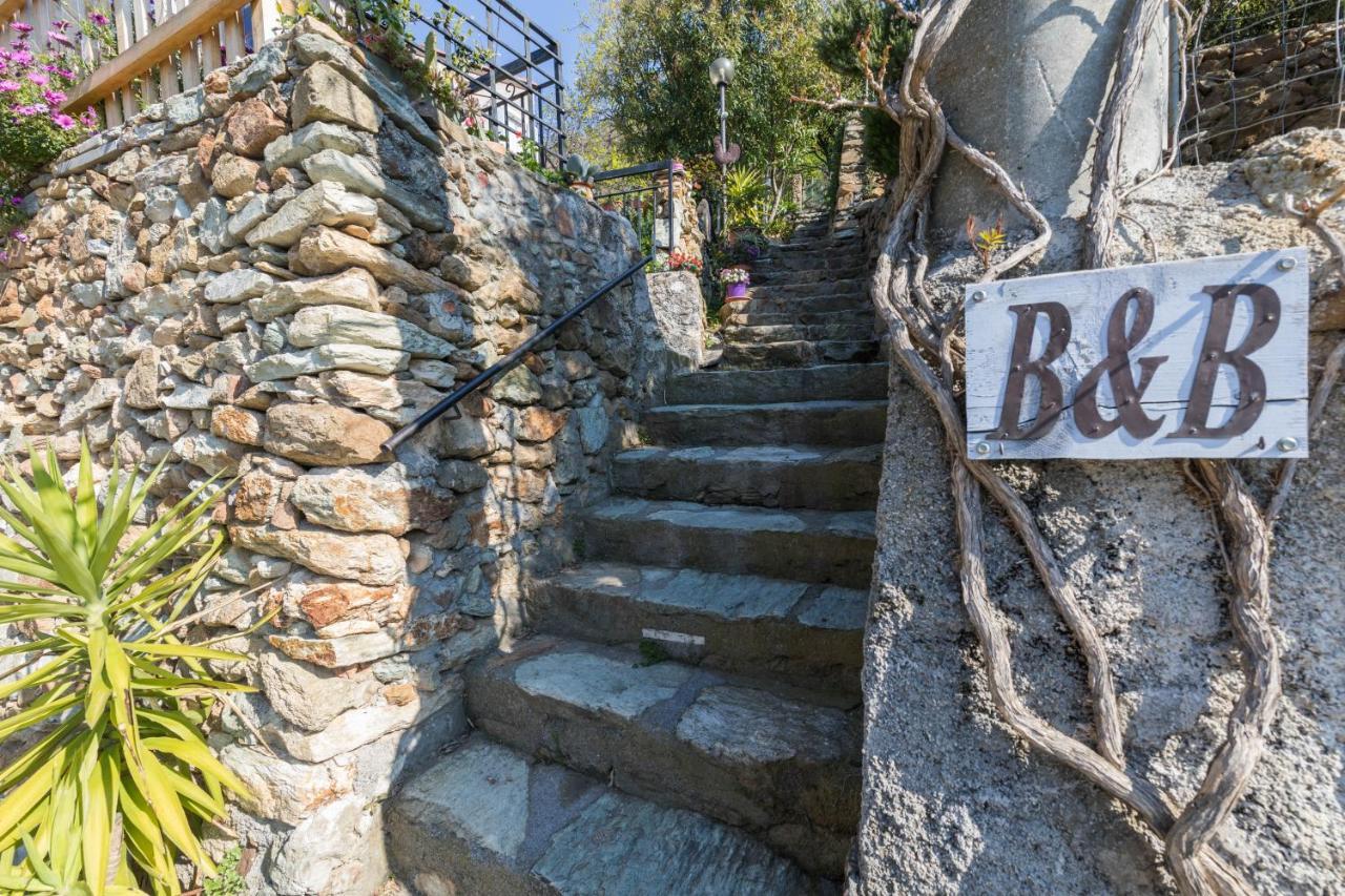 B&B Ca De Badin 놀리 외부 사진